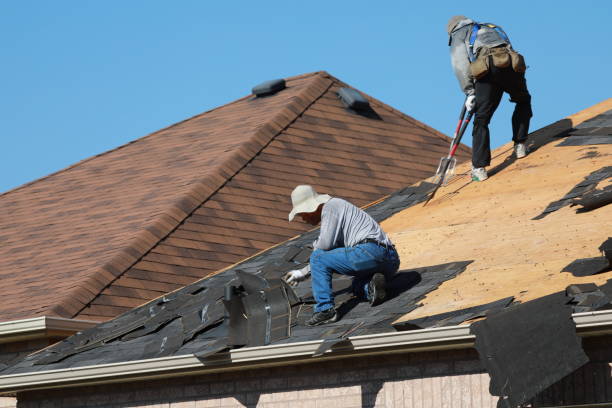 Best Skylight Installation and Repair  in Taft, TX